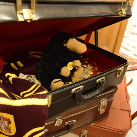 Paudlard Pour Fan D’harry Potter *