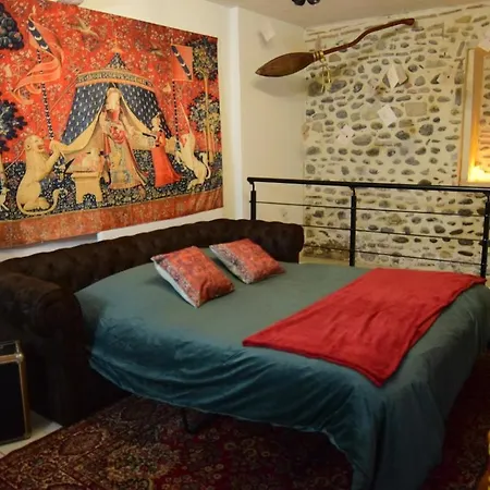 Le Repaire Des Sorciers - Centre - Chateau Apartment *