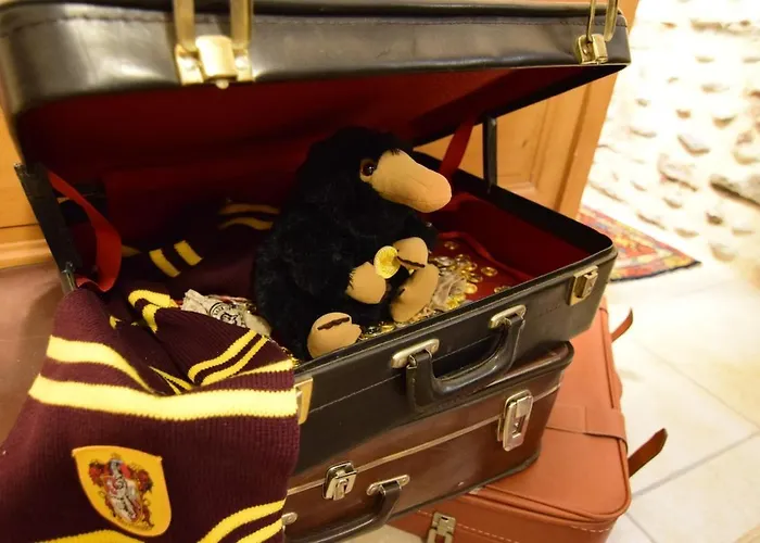 Apartment Le Repaire Des Sorciers - Centre - Chateau *